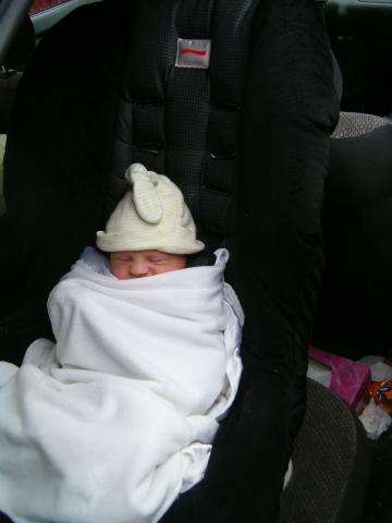 Lilah looks so small in the carseat